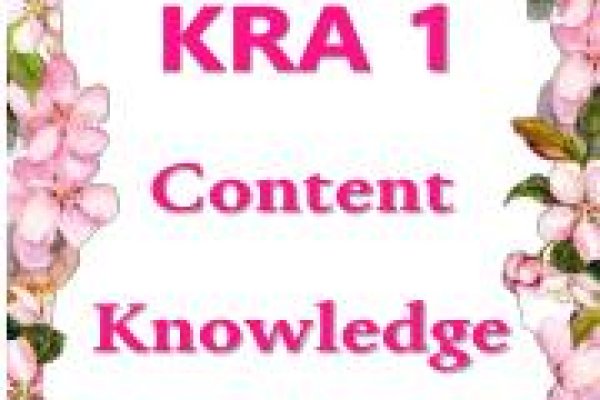 Тор для кракена